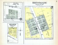 Brinsmade, Flora, Hesper, Benson County 1929
